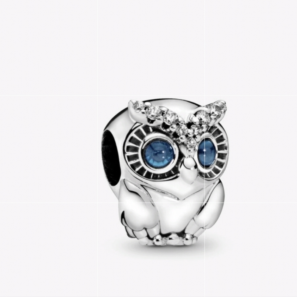 Owl Charm